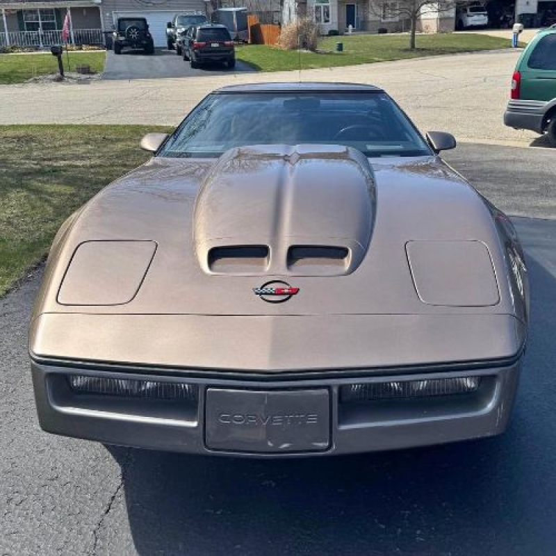 1984 Chevrolet Corvette for sale in Michigan (ID-140989) 1984 Chevrolet Corvette for sale in Michigan (ID-140989)