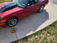 1984 Chevrolet Corvette for sale in Michigan (ID-164217)