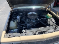 1984 Chevrolet El Camino for sale in Michigan (ID-122913)