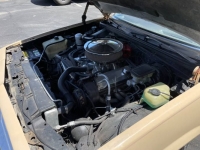 1984 Chevrolet El Camino for sale in Michigan (ID-122913)