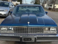 1984 Chevrolet El Camino for sale in Michigan (ID-137077)