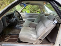 1984 Chevrolet El Camino for sale in Michigan (ID-145995)