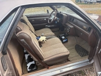 1984 Chevrolet El Camino for sale in Michigan (ID-153699)
