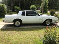 1984 Chevrolet Monte Carlo for sale in Michigan (ID-116789)