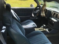 1984 Chevrolet Monte Carlo for sale in Michigan (ID-116789)