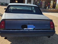 1984 Chevrolet Monte Carlo for sale in Michigan (ID-117340)