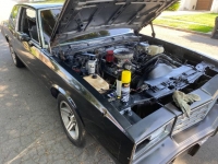 1984 Chevrolet Monte Carlo for sale in Michigan (ID-120757)