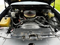 1984 Chevrolet Monte Carlo for sale in Michigan (ID-121044)