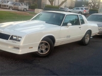 1984 Chevrolet Monte Carlo for sale in Michigan (ID-137509)