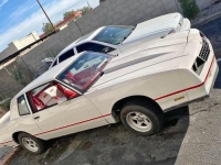 1984 Chevrolet Monte Carlo for sale in Michigan (ID-140401)