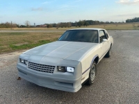 1984 Chevrolet Monte Carlo for sale in Michigan (ID-161495)
