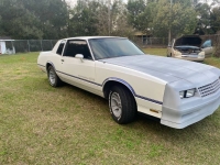 1984 Chevrolet Monte Carlo for sale in Michigan (ID-161495)