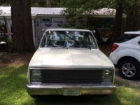 1984 Chevrolet Pickup for sale in Michigan (ID-113937)