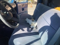 1984 Chevrolet Silverado for sale in Michigan (ID-122798)