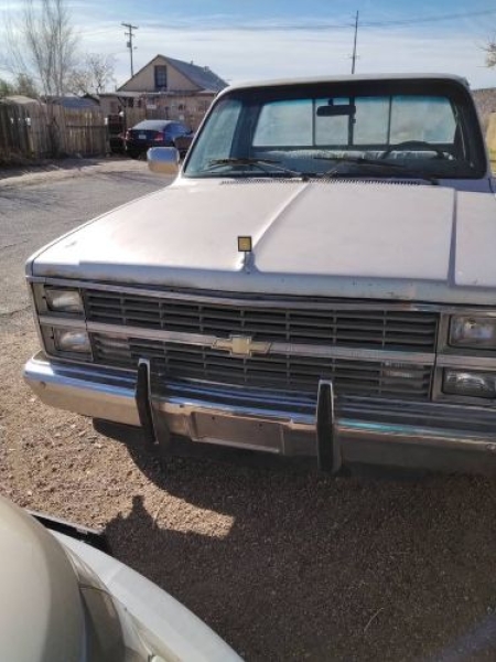 1984 Chevrolet Silverado for sale in Michigan (ID-137965)
