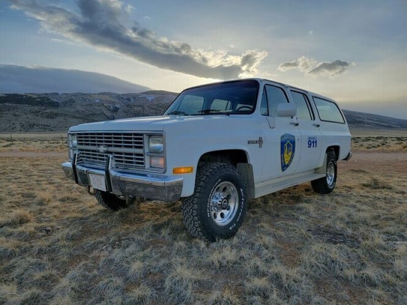 1984 Chevrolet Suburban for sale in Michigan (ID-98438)
