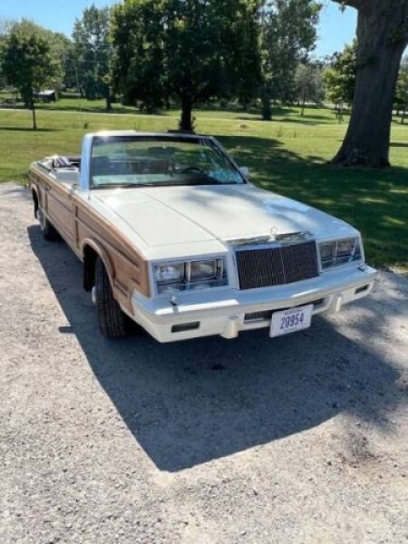 1984 Chrysler LeBaron for sale in Michigan (ID-129877)