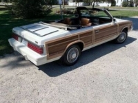 1984 Chrysler LeBaron for sale in Michigan (ID-129877)