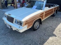 1984 Chrysler LeBaron for sale in Michigan (ID-129877)