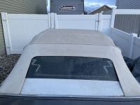 1984 Chrysler LeBaron for sale in Michigan (ID-135650)
