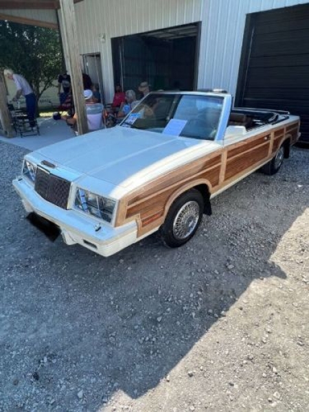 1984 Chrysler LeBaron for sale in Michigan (ID-139184)