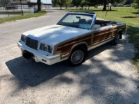 1984 Chrysler LeBaron for sale in Michigan (ID-139184)