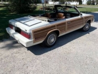 1984 Chrysler LeBaron for sale in Michigan (ID-139184)