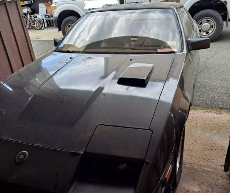 1984 Datsun 300ZX for sale in Michigan (ID-101451)