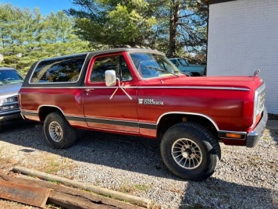 1984 Dodge Ramcharger for sale