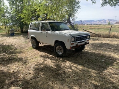 1984 Ford Bronco for sale