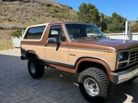 1984 Ford Bronco for sale in Michigan (ID-131501)