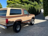 1984 Ford Bronco for sale in Michigan (ID-131501)