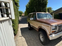 1984 Ford Bronco for sale in Michigan (ID-131501)