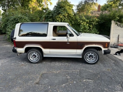 1984 Ford Bronco for sale