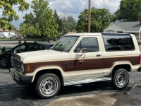 1984 Ford Bronco for sale in Michigan (ID-137124)