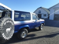 1984 Ford Bronco II for sale in Riverhead, New York (ID-123565)