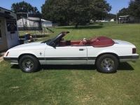 1984 Ford Mustang for sale in Michigan (ID-106708)