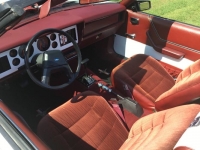 1984 Ford Mustang for sale in Michigan (ID-106708)