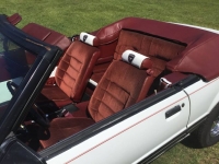 1984 Ford Mustang for sale in Michigan (ID-106708)