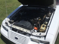 1984 Ford Mustang for sale in Michigan (ID-106708)