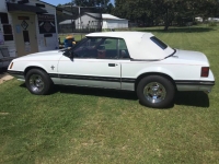 1984 Ford Mustang for sale in Michigan (ID-106708)
