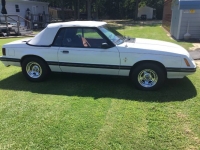1984 Ford Mustang for sale in Michigan (ID-106708)