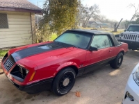 1984 Ford Mustang for sale in Michigan (ID-112792)