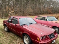 1984 Ford Mustang for sale in Michigan (ID-113514)