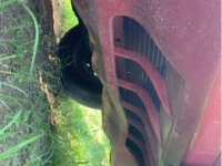 1984 Ford Mustang for sale in Michigan (ID-113514)