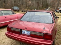 1984 Ford Mustang for sale in Michigan (ID-113514)