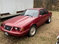 1984 Ford Mustang for sale in Michigan (ID-113514)