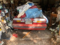 1984 Ford Mustang for sale in Michigan (ID-114779)