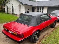 1984 Ford Mustang for sale in Michigan (ID-114779)