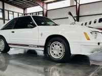 1984 Ford Mustang for sale in Michigan (ID-115755)